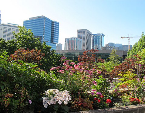 Gardening + Outdoors