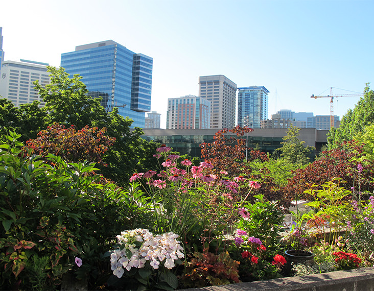 garden city scape
