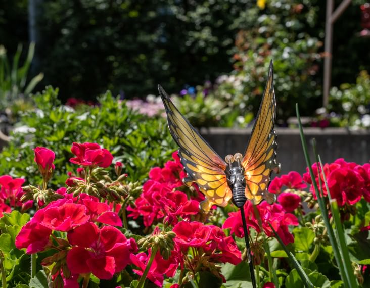 pretty garden